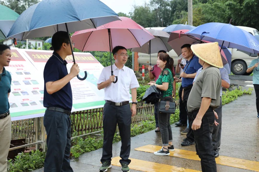 大埔县召开撂荒耕地复耕复种工作现场推进会