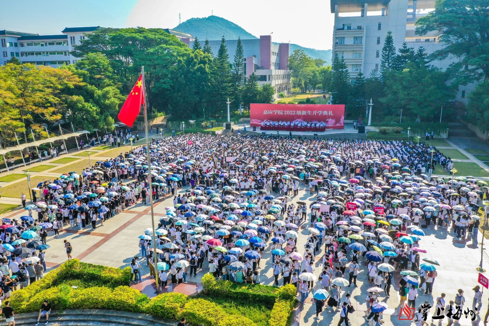 嘉应学院 女校图片