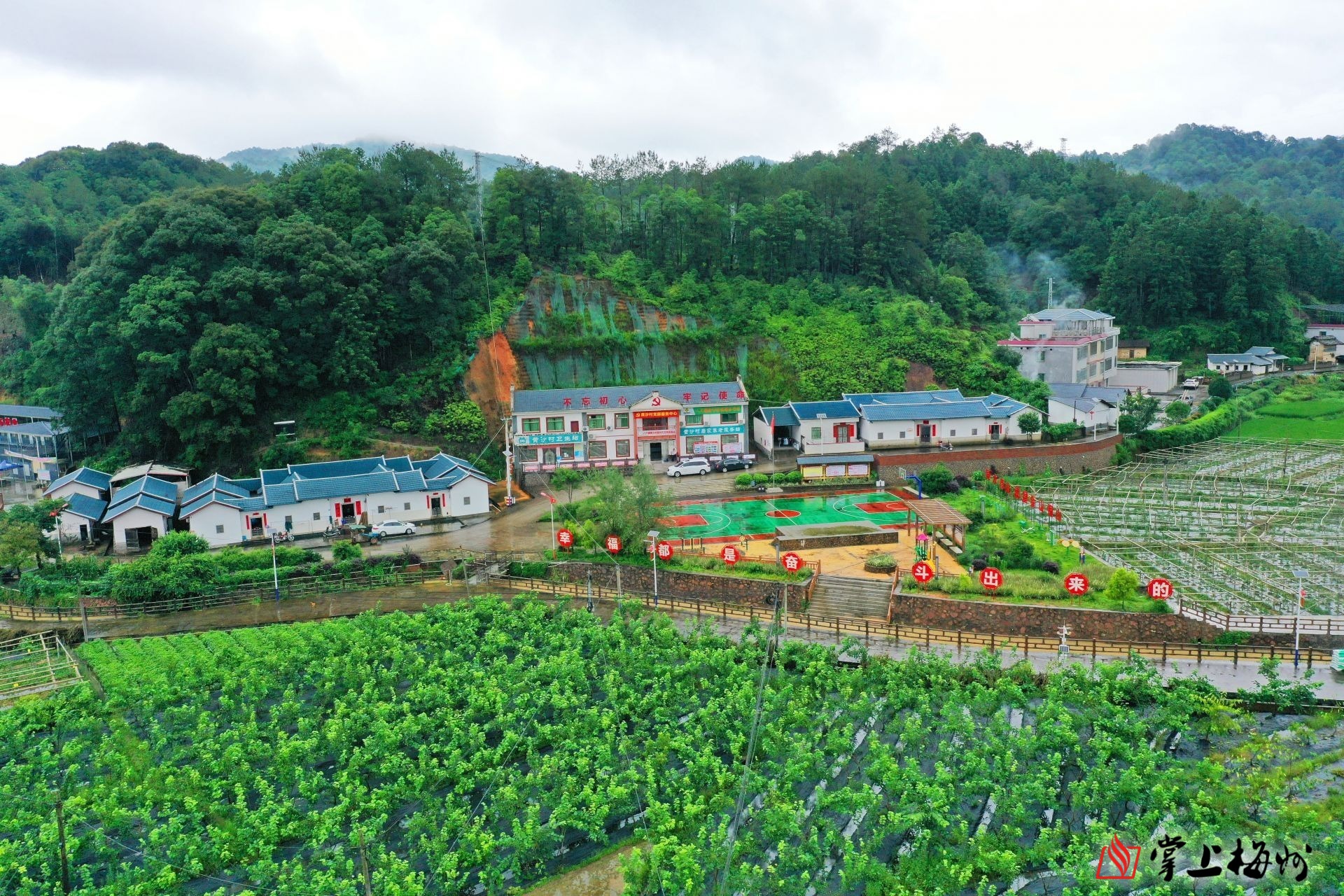 平远县八尺镇黄沙村依托366电商基地,走出一条特色产业扶贫之路