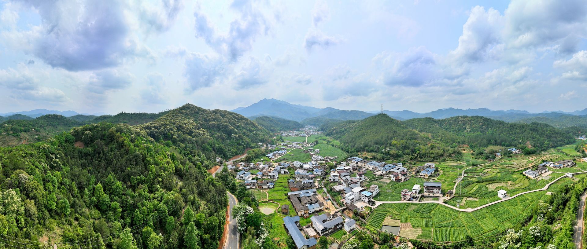 一起畅谈寿乡茶事共话乡村振兴校对:邓俊辉编辑:杨乔颖 黄思容(实习