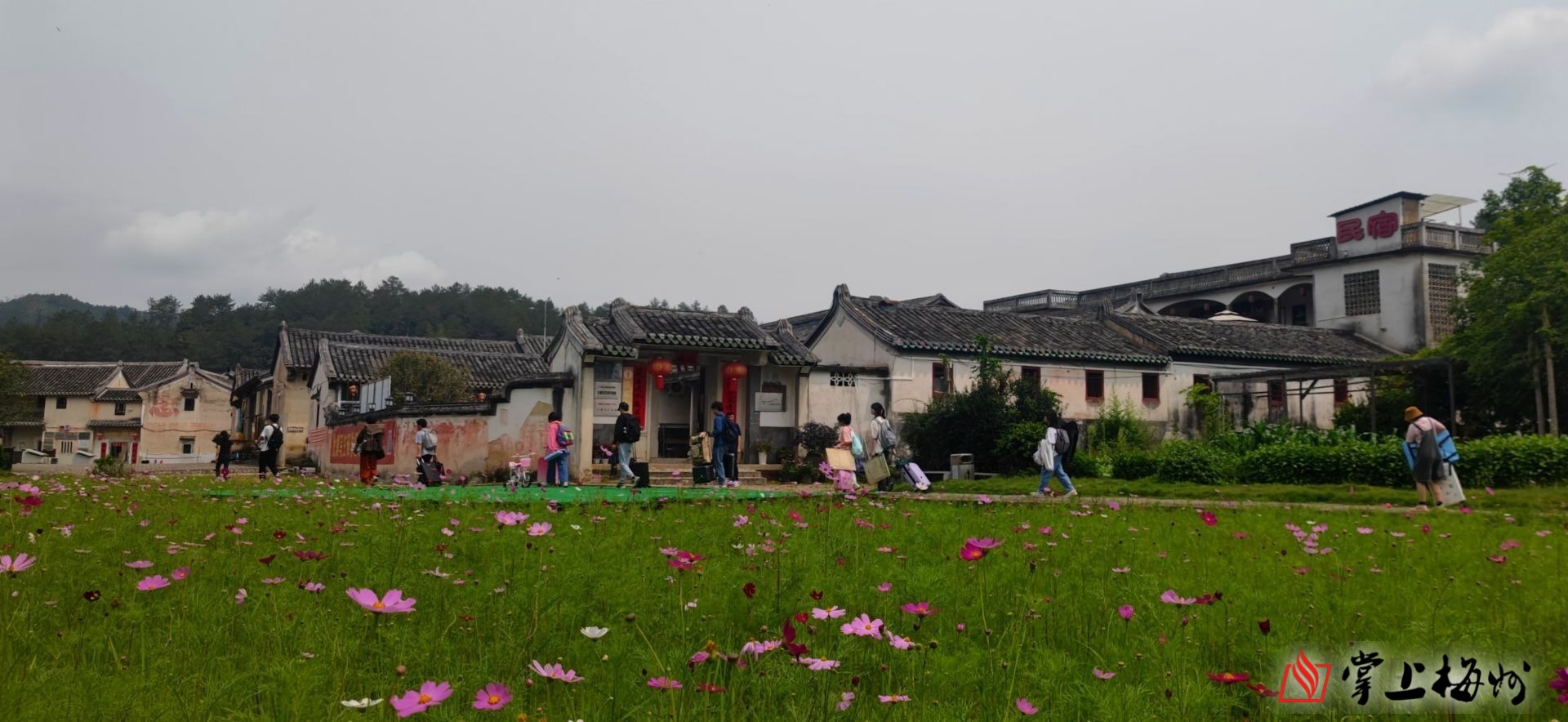 藝術賦能小山村大埔縣北塘村獨闢蹊徑用寫生經濟帶旺富民產業