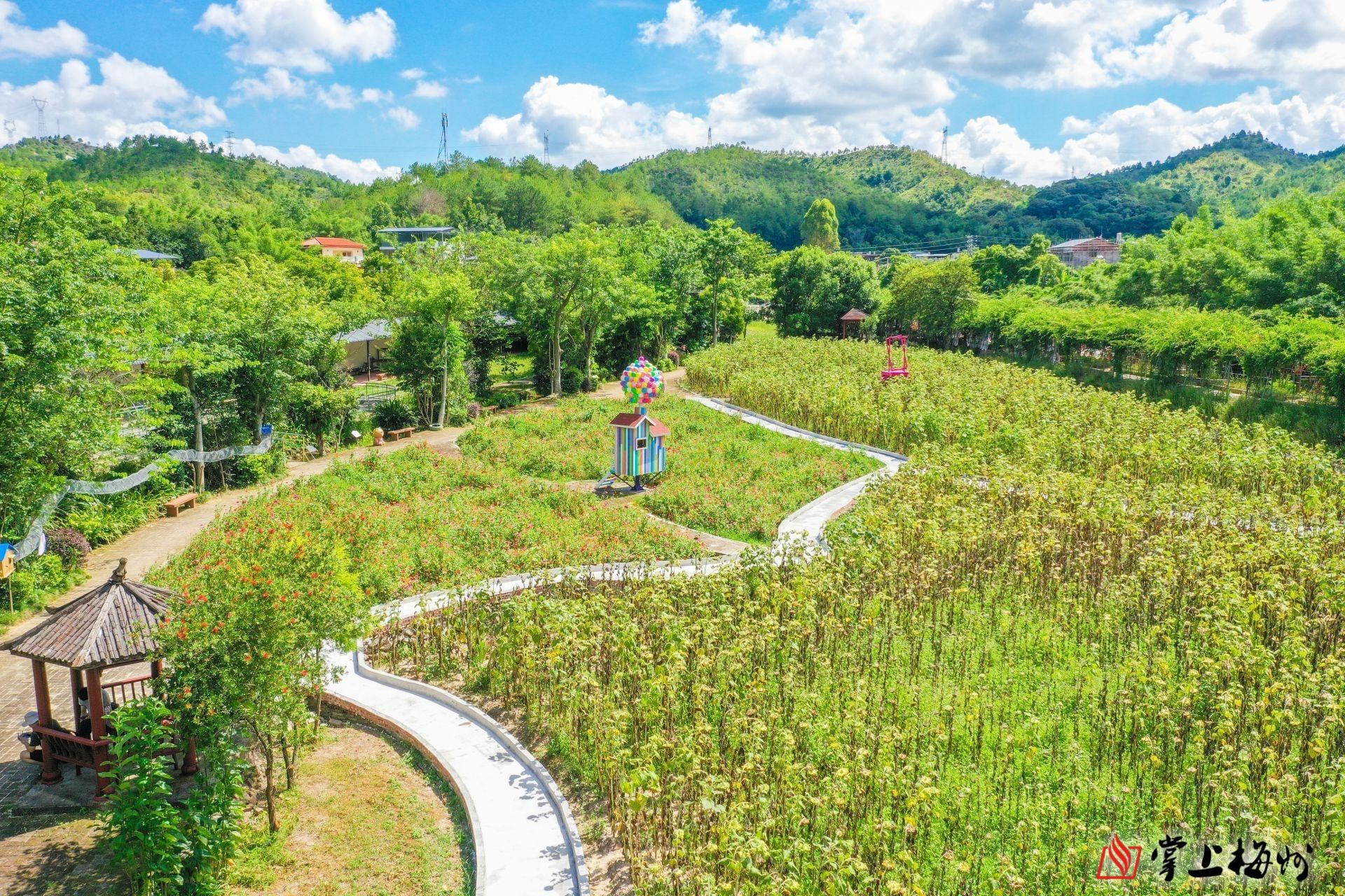 梅江区西阳镇"阿鲤廊"田园农业观光旅游综合体.