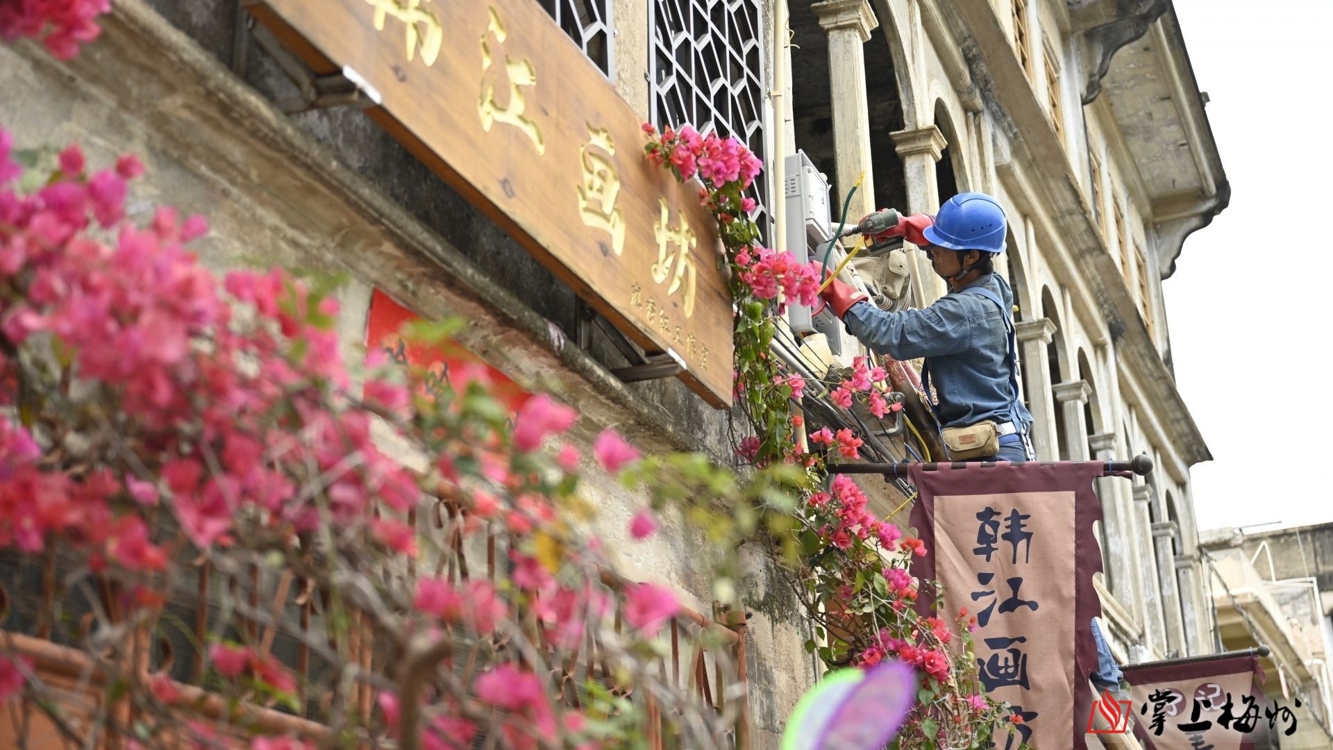 庫克保住蘋果CEO位置但被降薪40%：今年隻能賺3.4億