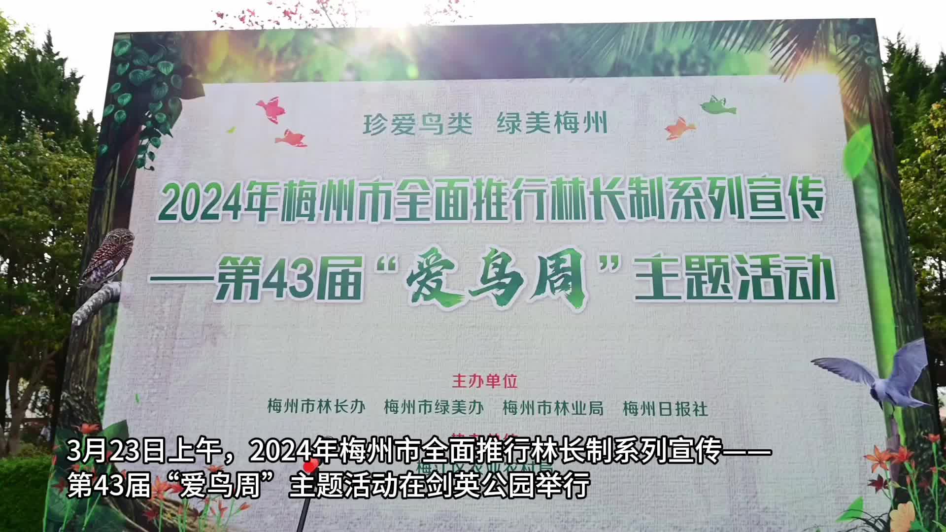 梅州V视丨梅州第43届“爱鸟周”主题活动启动！这个春天，一起守护“林间精灵”！