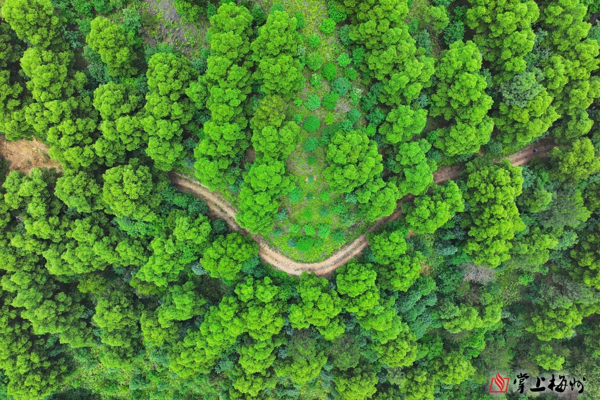 梅州日报早新闻丨梅州通过一批人事任免,涉多个政府部门"一把手";首个