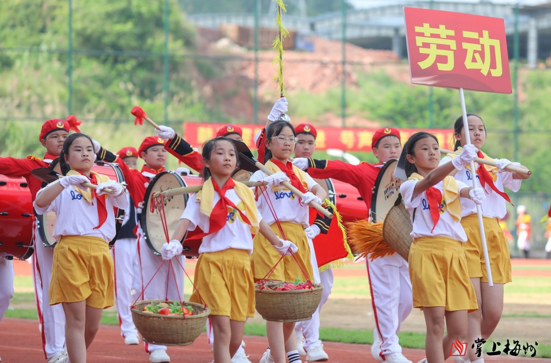 小学仪仗队乐器配置图片