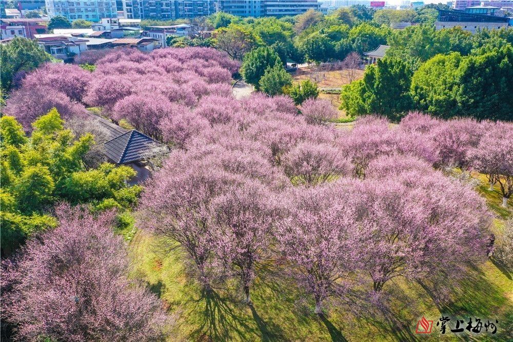 涉嫌违法违规使用医保基金 国家医保局点名七家医院