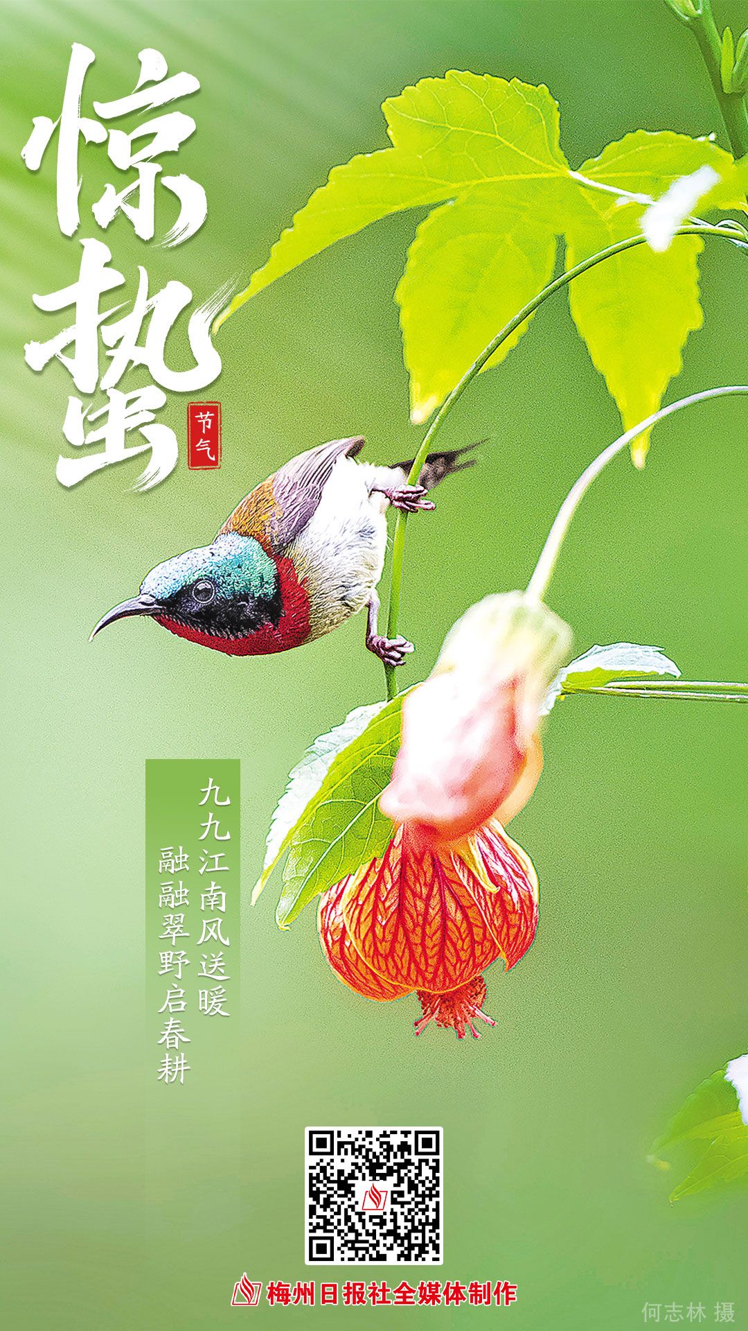 1分鐘搞定！梅州首份海關(guān)“云簽發(fā)”出口檢驗(yàn)檢疫證書落地