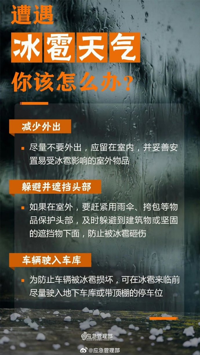 科技助“荔”，“豐”景在望！陽西荔枝迎“大年”