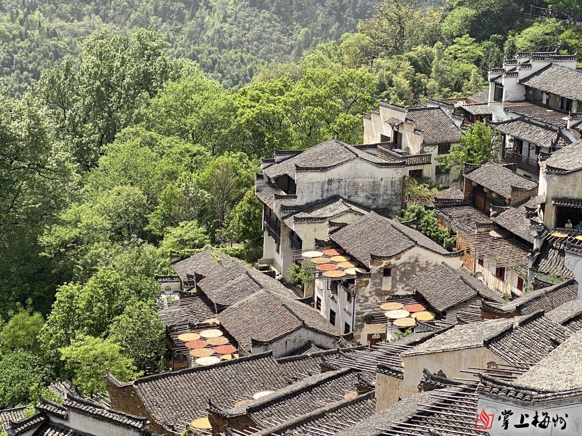 烏克蘭防長(zhǎng)稱反攻準(zhǔn)備工作進(jìn)入最后階段