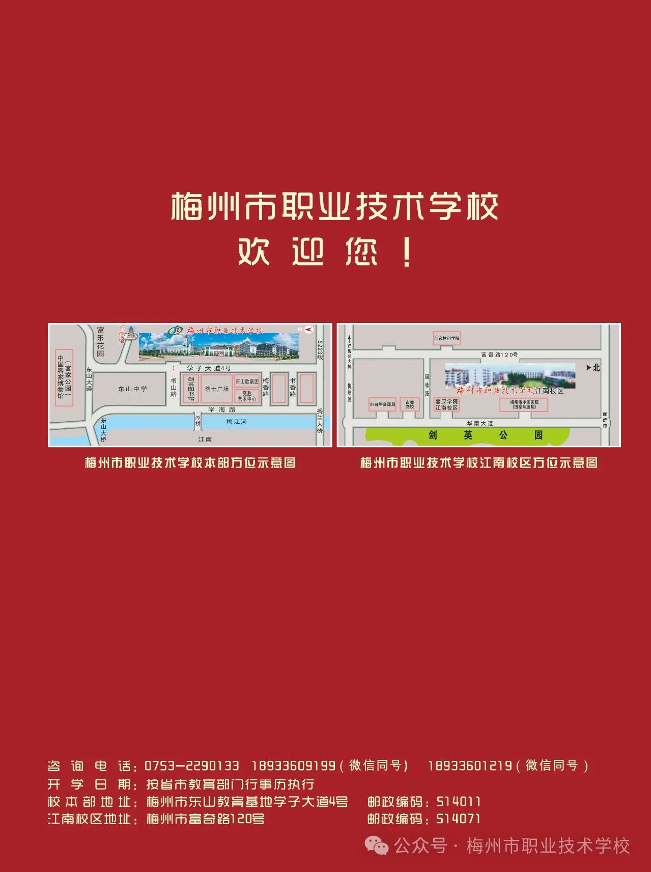 直播預(yù)告丨1月25日至27日連續(xù)3天，灣區(qū)花正開，廣東過大年！