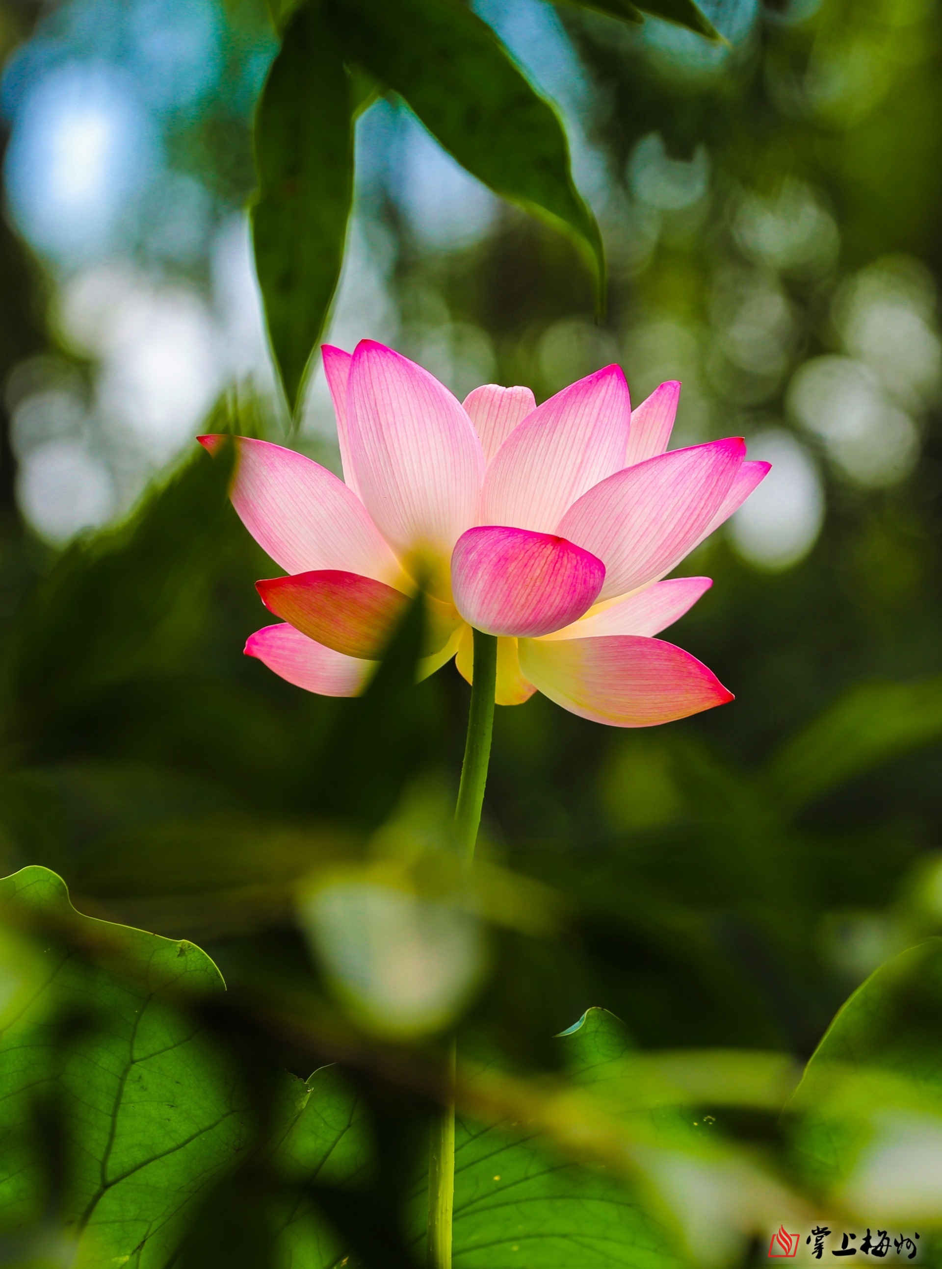 烏克蘭總統(tǒng)澤連斯基表示將于28日與特朗普會(huì)晤