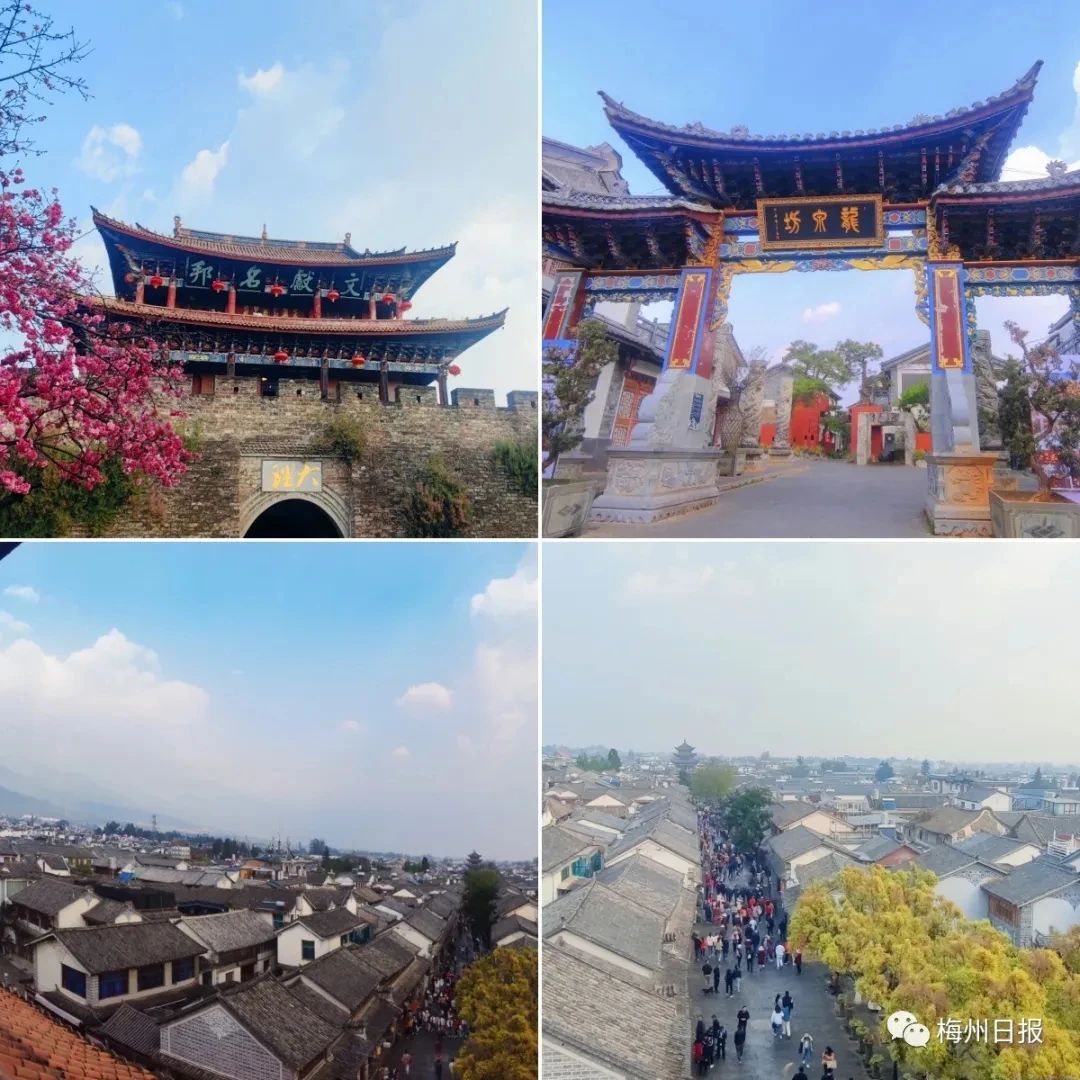 合肥通報(bào)三只羊整改情況：罰款已賠付并整改到位