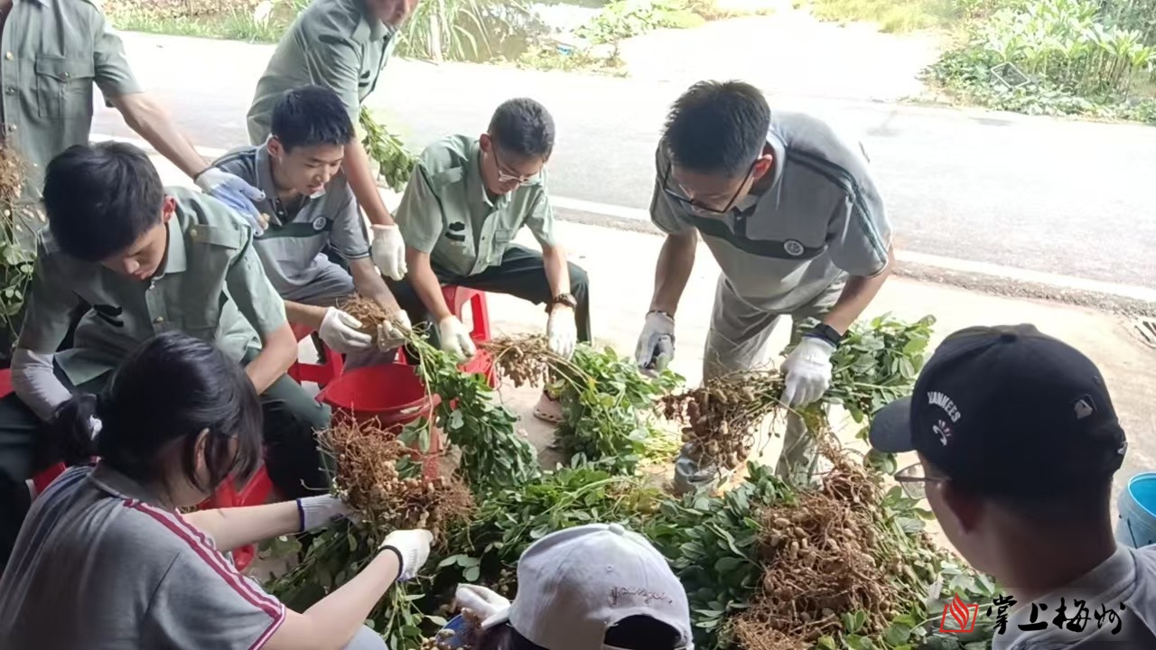 國家衛(wèi)健委：預(yù)計(jì)本月中下旬流感活動(dòng)水平逐步下降