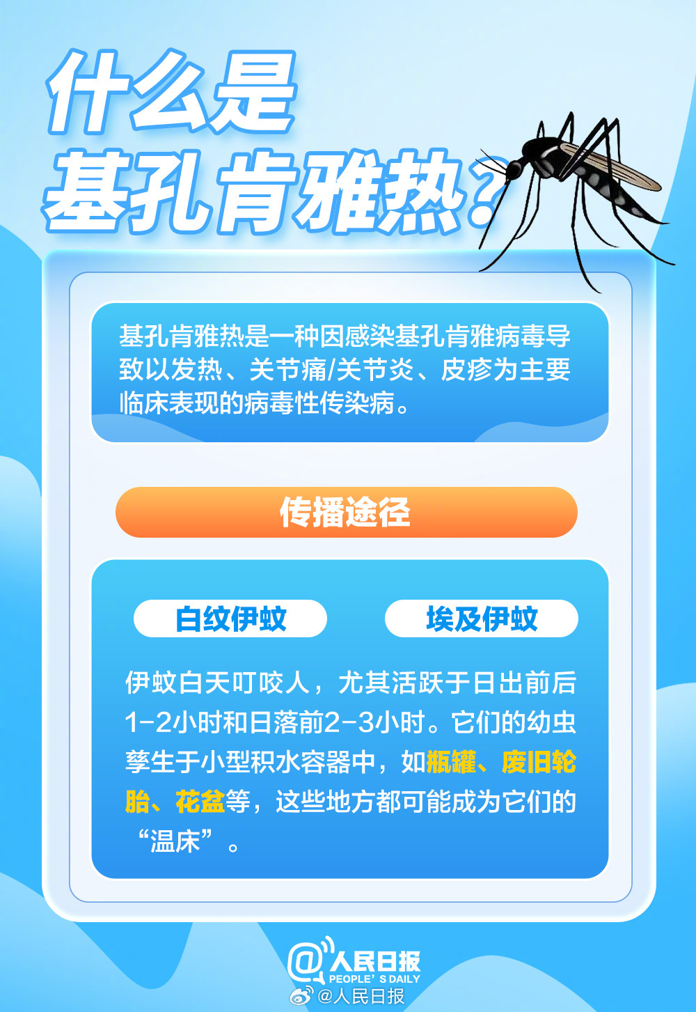 留意！本月内，梅州“一周三次”开展防蚊灭蚊行动！
