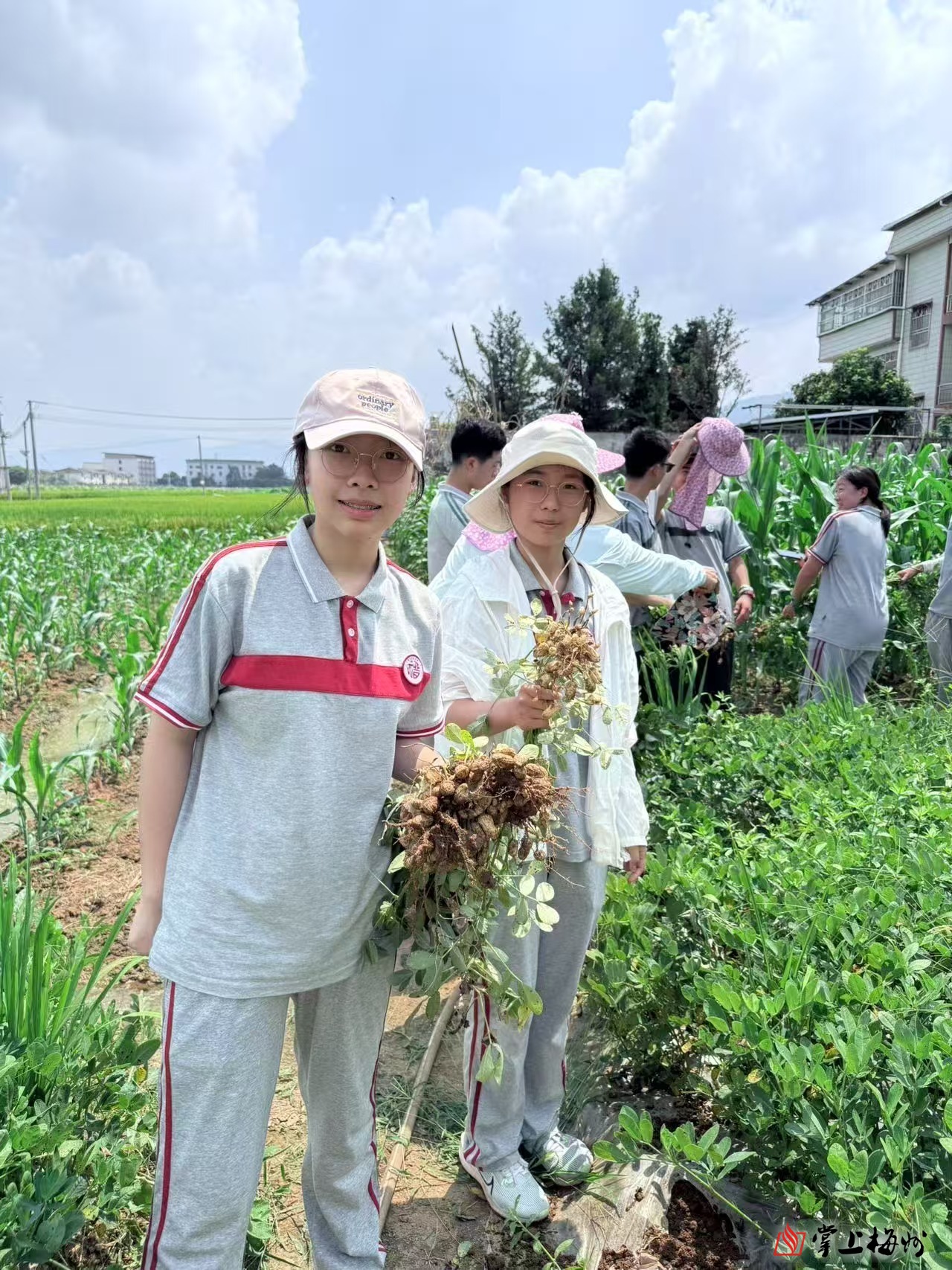  市场监管总局发布食品掺杂掺假检验方法“揭榜挂帅”榜单