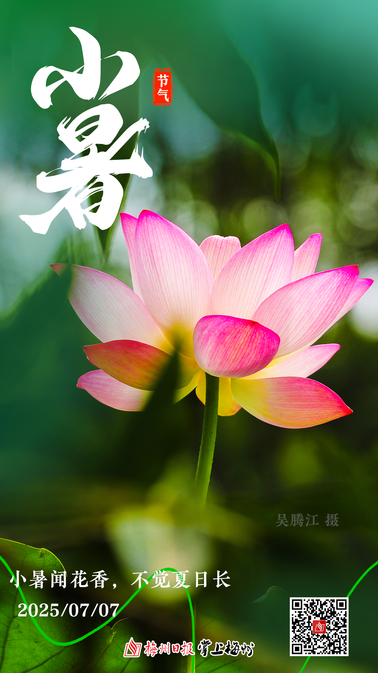 生二孩獎1萬元，三孩獎2萬元！廣東一地上線生育補(bǔ)助方案