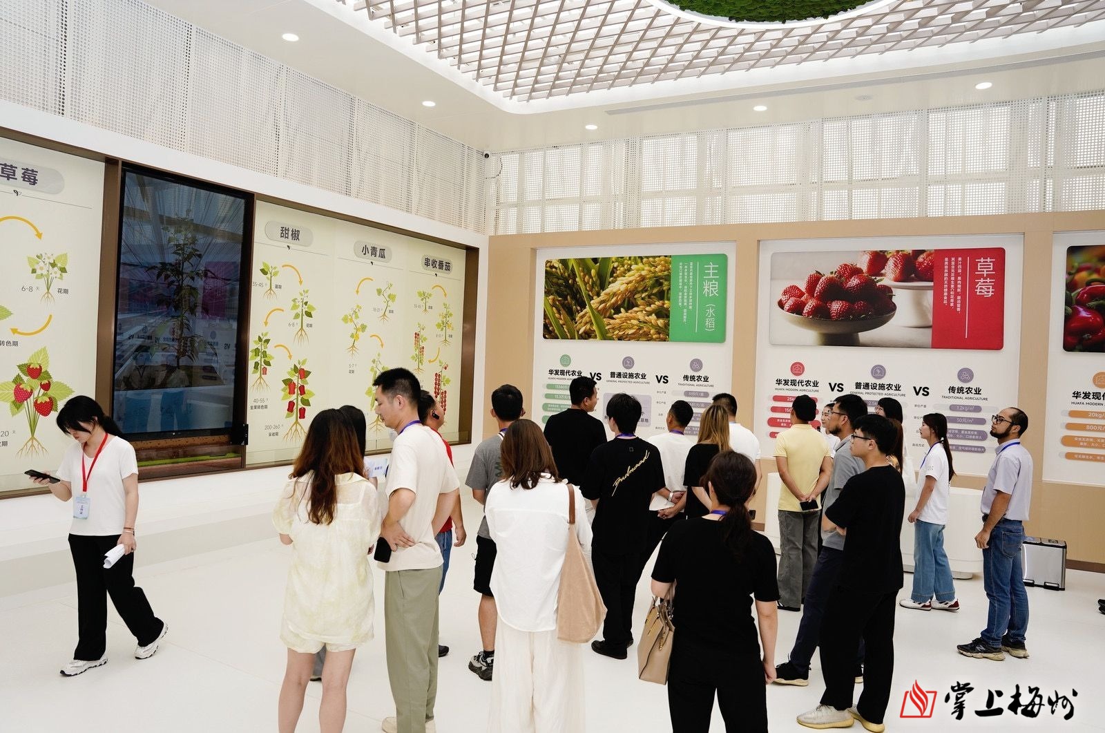 胸腺肿瘤治疗已开启微创治疗新篇章