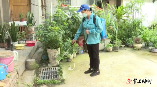 防蚊灭蚊 防控蚊媒传染病！梅州全力打造干净整洁健康的生活生产环境