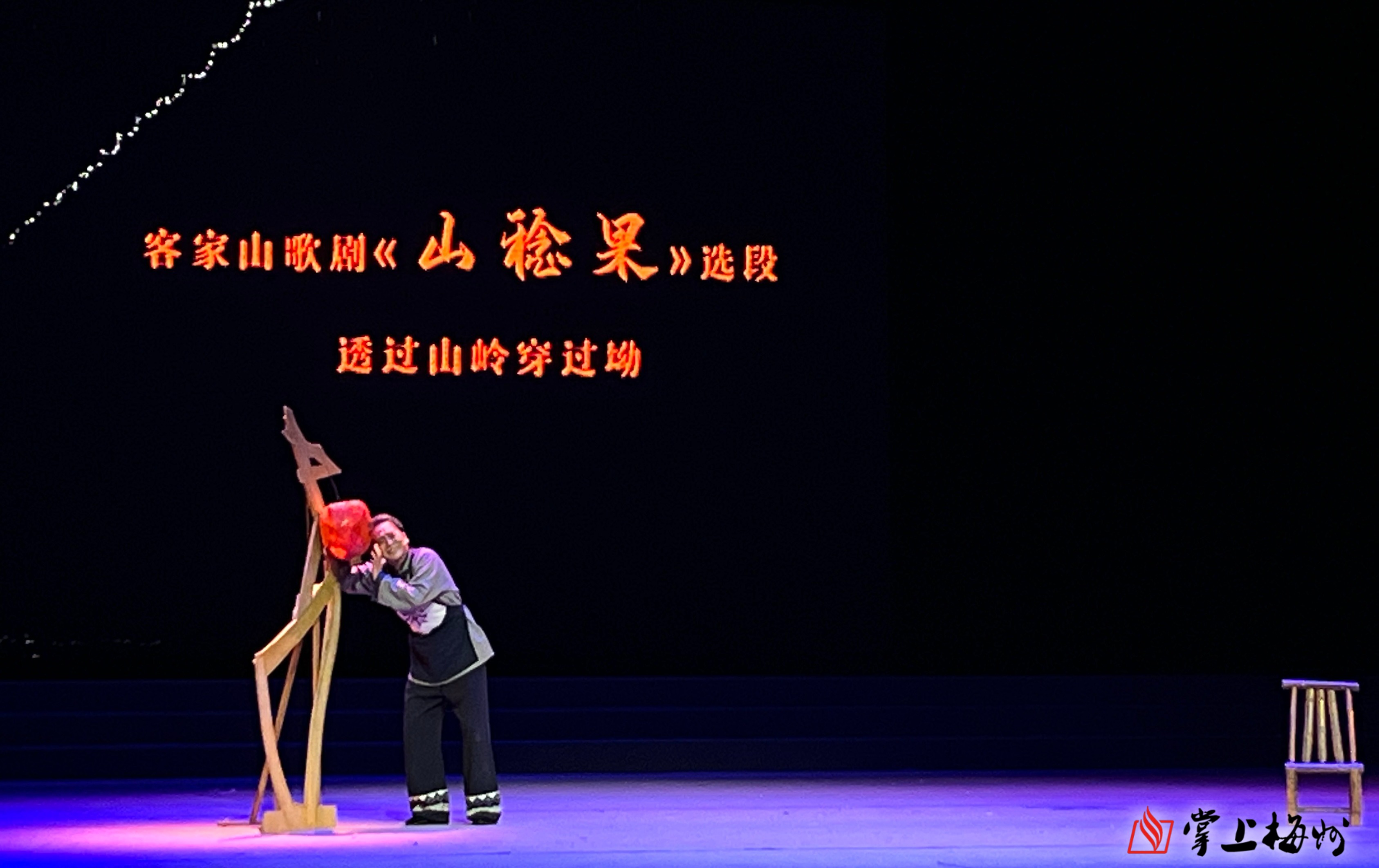 借势破局，“串”起湛江海岛游
