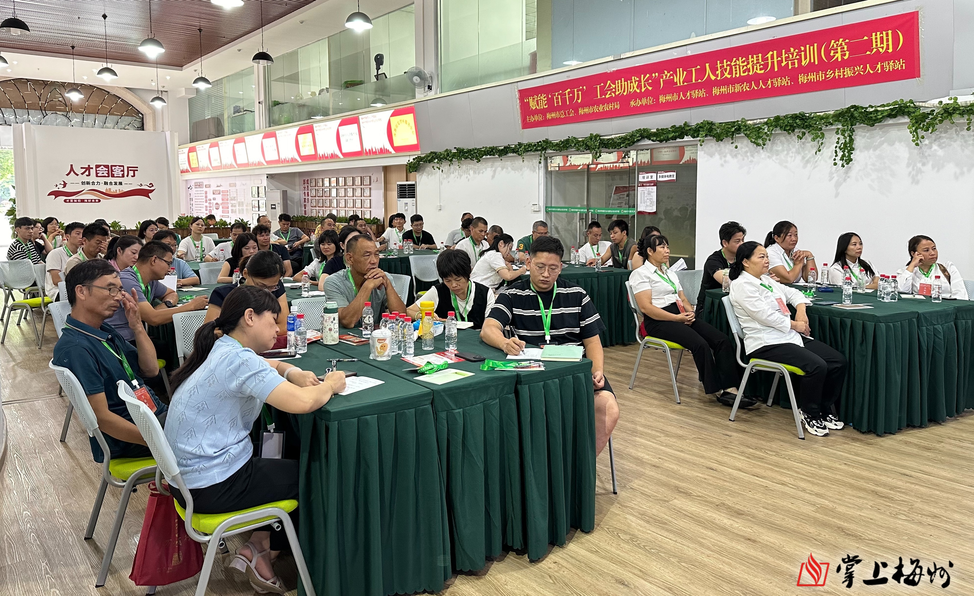  全国累计收购夏粮超5000万吨