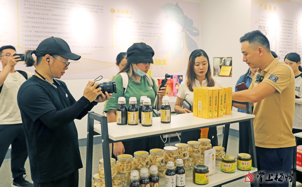 摩根大通预测：美联储可能从9月起连续降息四次