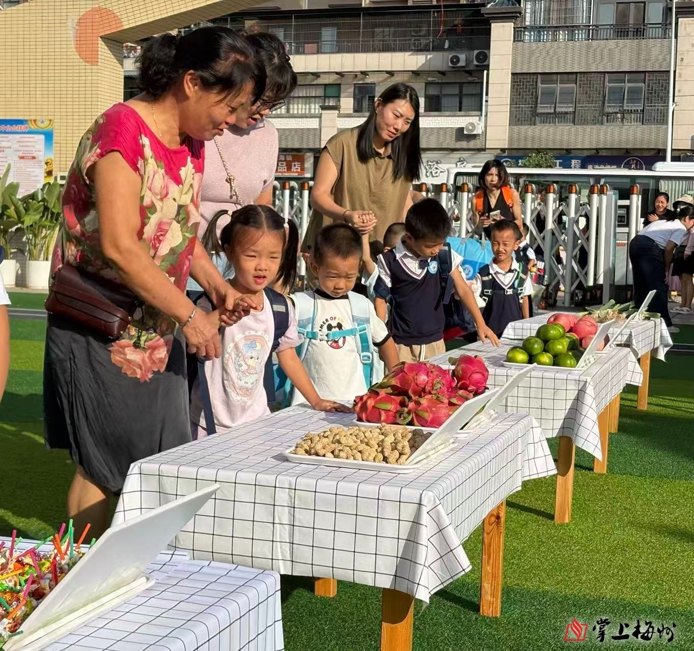 江苏市场监管执法稽查系统政企协同保护视频会议召开