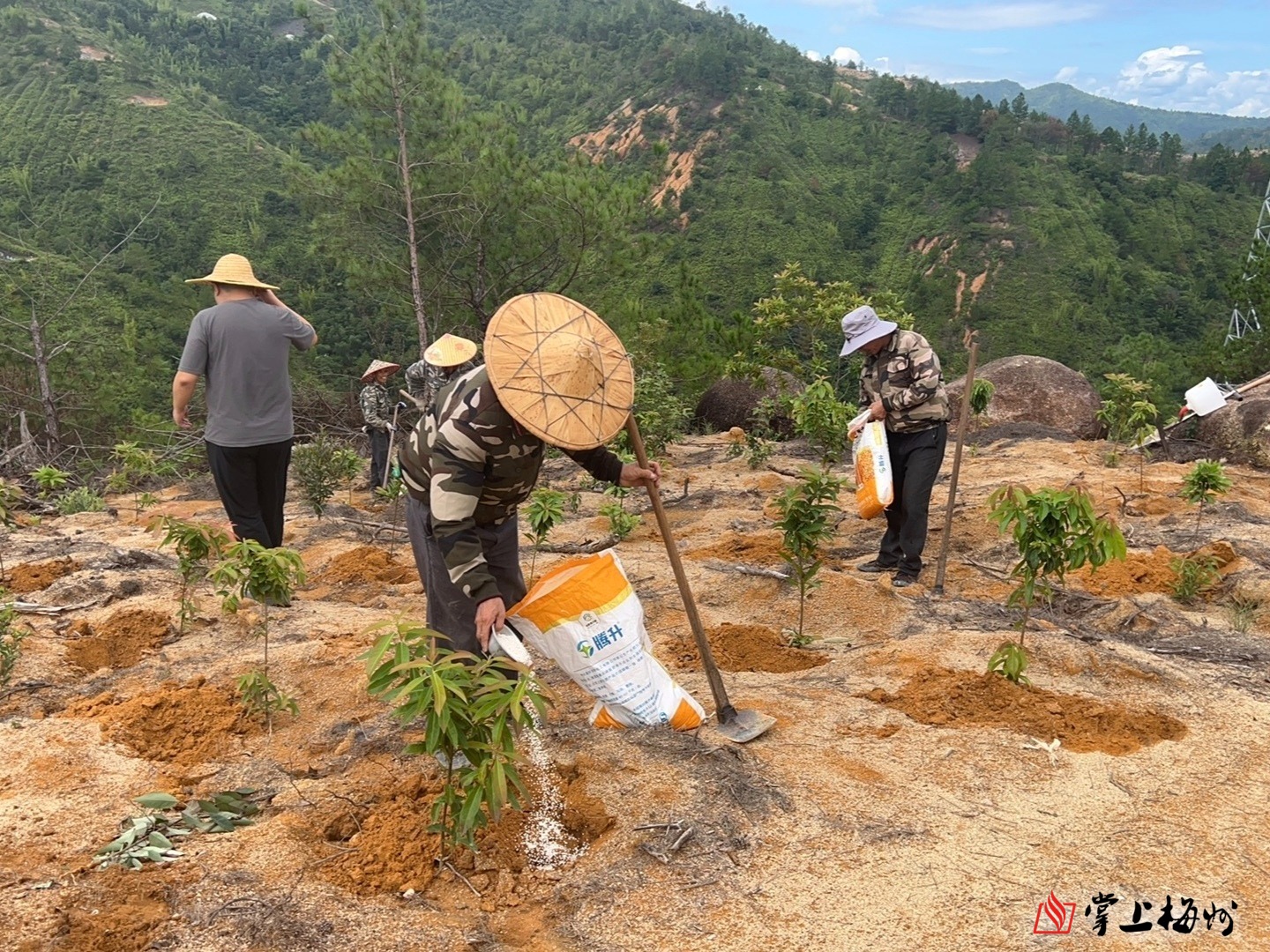 欧元区通胀回升与美联储政策不变，欧洲央行降息预期下降