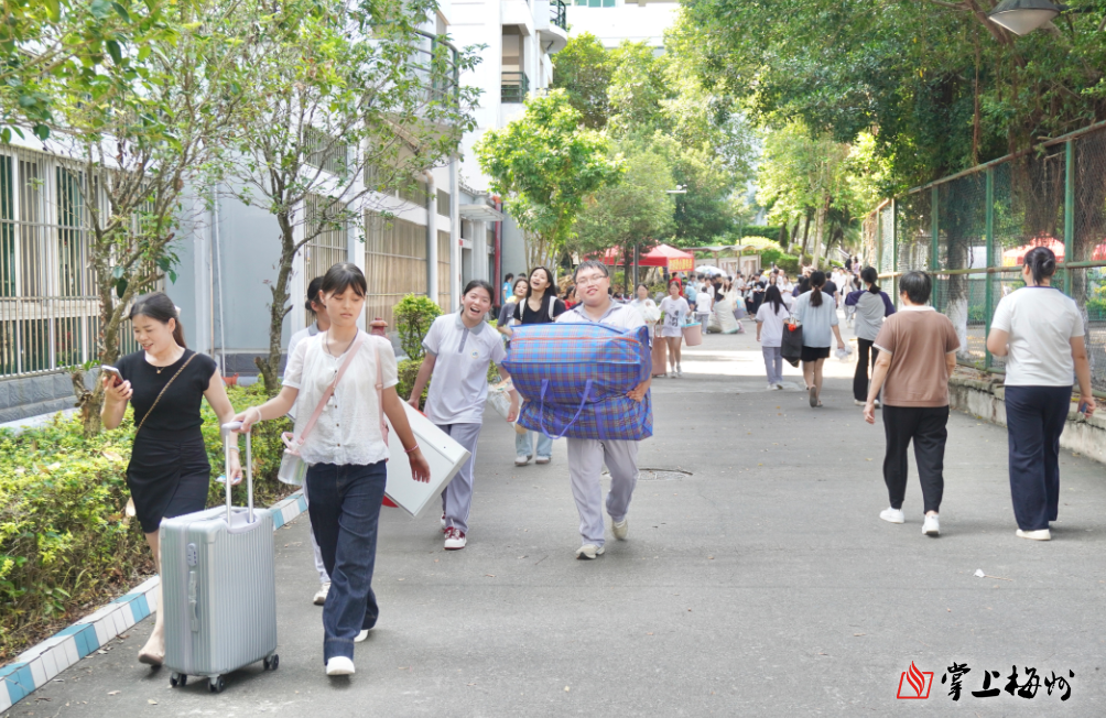  国宝“兄弟”冰城安家！大熊猫“芝士”“芝麻”抵达哈尔滨