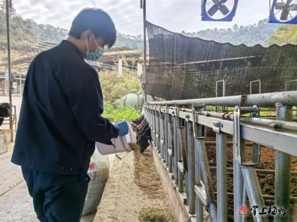 第13号台风或生成！23日18时前珠江口以西渔船须全部回港