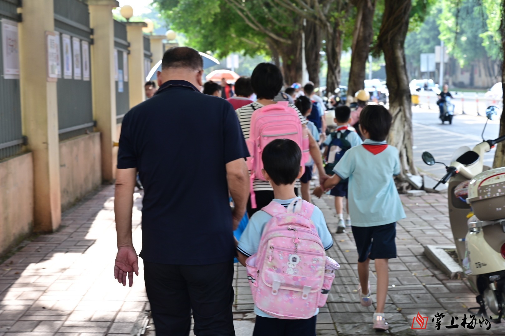 生动介绍和推荐湛江白切鹅！《中国国家地理》旗下“地道风物”官微发推文《中国吃鹅第一省，从来鹅毛不过江》