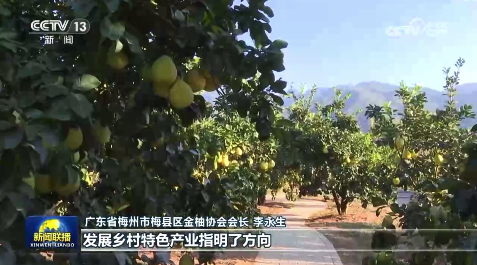 广东梅州，再上央视！