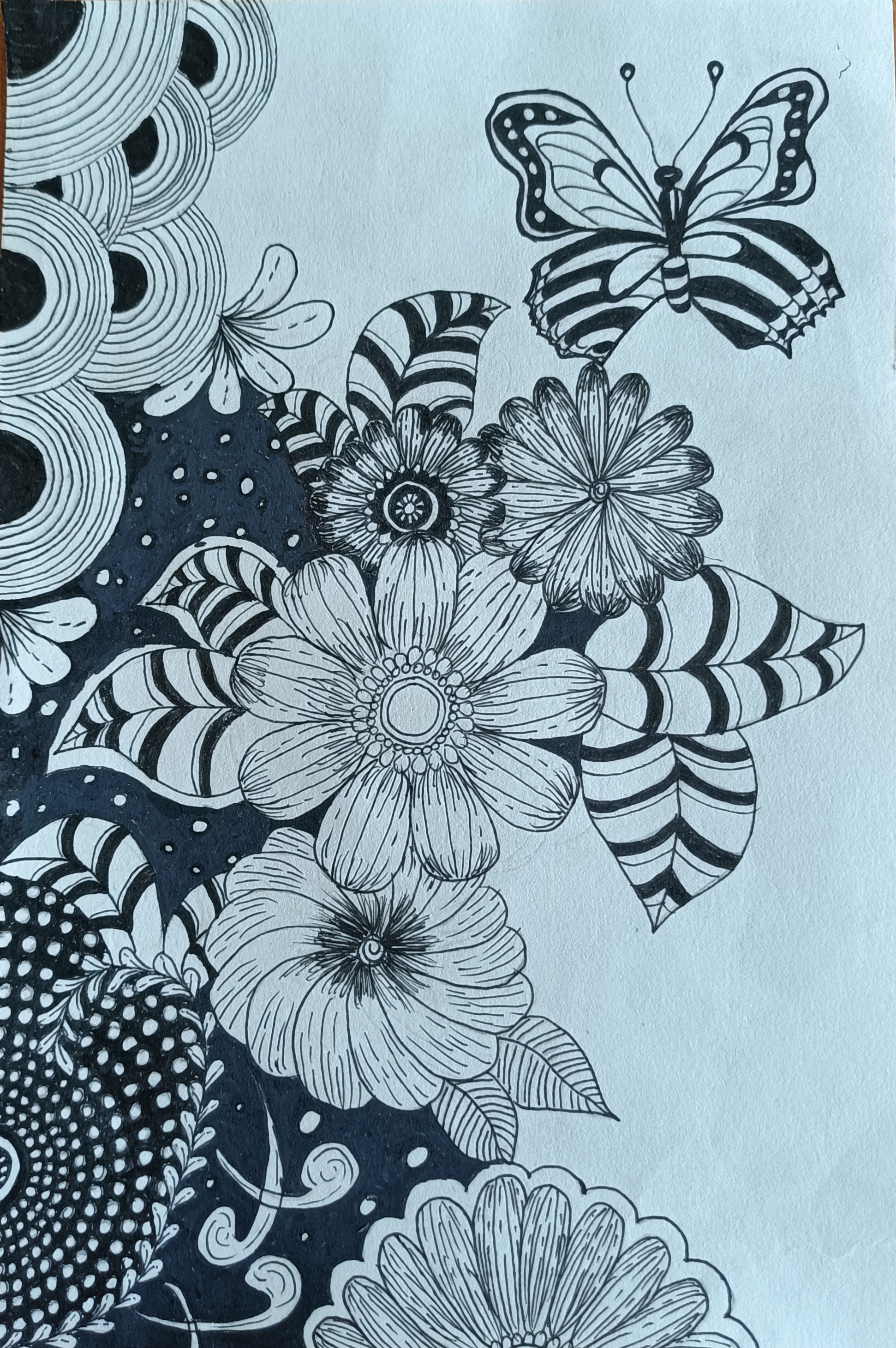 梅州中学初一李梓旭丨绘画