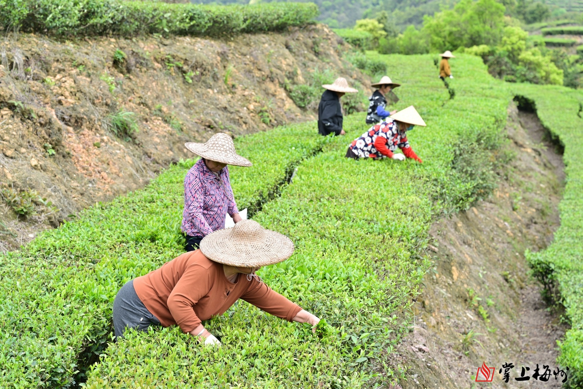正在上传...