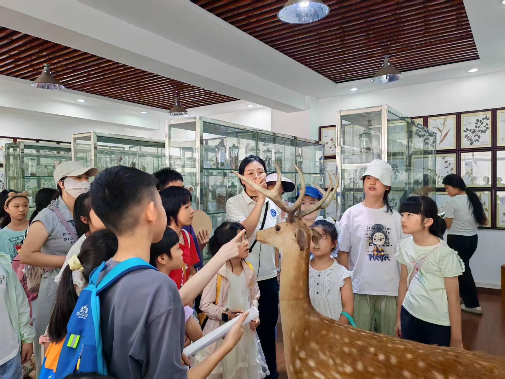 探秘植物密码 守护生态家园！“美丽梅州 绿色同行”生态研学活动走进嘉应学院医学院
