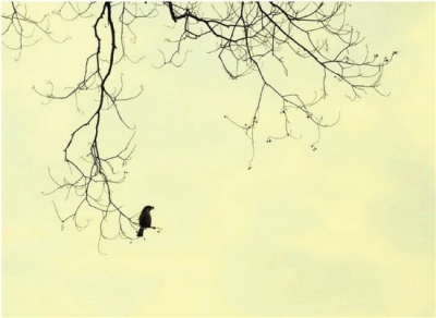 散文园丨来过，便不曾离开