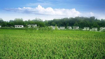 周秋明要求：突出重点 加大工作推进力度 扎实推进中心镇“六个一”和新农村示范村建设工作