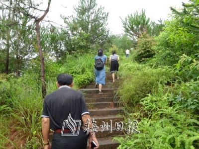 梅县区黄新老师和小伙伴13年义务开荒筑路栽树