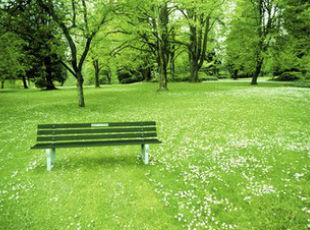 平远县结合“创文”打造城区主题文化公园提升文明形象