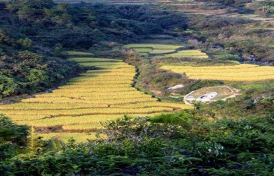 长布镇结合美丽乡村建设工作开展十大专项整治