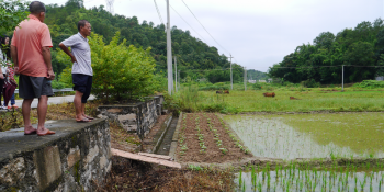 兴宁一村民遇难题，水务局建陂头能灌隔壁田，自家田却没水