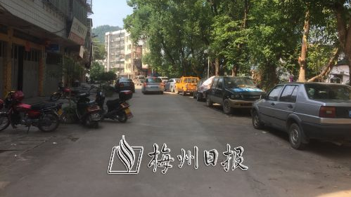 大埔县大麻镇新马路北车辆乱停放现象严重
