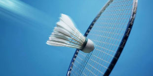 广东省羽毛球锦标赛收兵 梅州代表队勇夺两项冠军