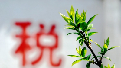 9月起，市地税局将在全市推行这三项制度的试点工作！