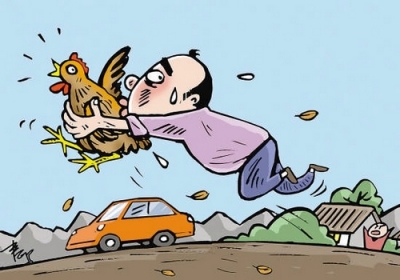 大白天开车到农家偷鸡鸭 蕉岭两男子被判盗窃罪