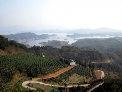 “墈”与堤、埂