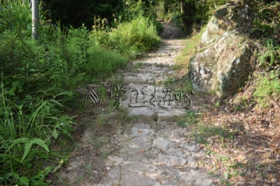 万壑千山绕邑边——平远县仁居镇的绝磴云梯与古驿道