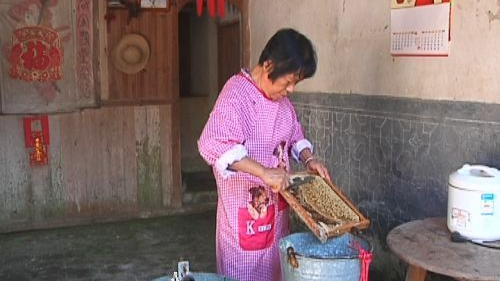 大埔蜂农肖爱香：“养蜂苦，稍微偷点懒就损收成”