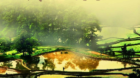 文化公园丨诗意《二十四节气》