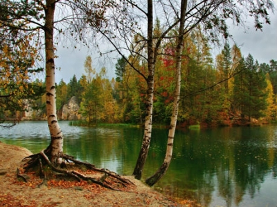 秋前湖畔义冢寒